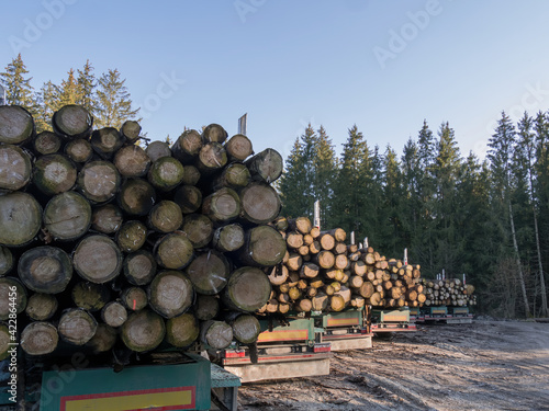 Timber transportation on big trucks 