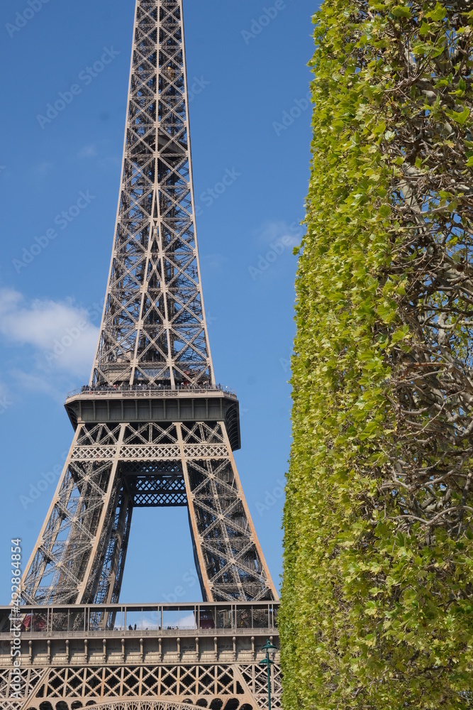 Original photo of the Eiffel Tower next to a tree Original photo of the Eiffel Tower next to a tree