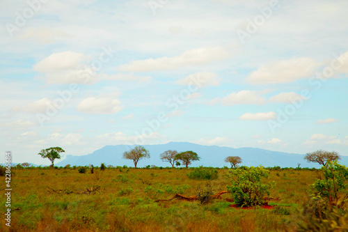 .beautiful savannah views  red clay roads  African landscapes with animals in Kenya