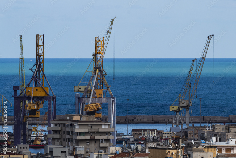 Fototapeta premium Gru al porto