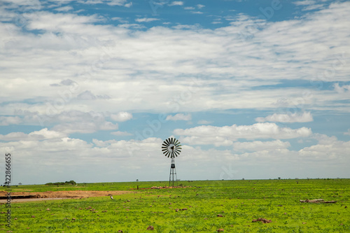 .beautiful savannah views, red clay roads, African landscapes with animals in Kenya