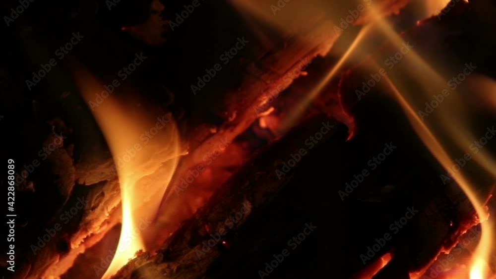Bonfire at night, close up, nature background
Bonfire at night, close up, nature background
