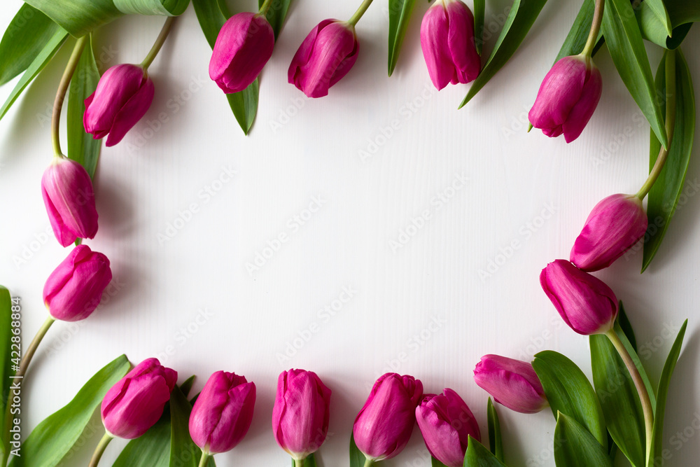 Beautiful frame of fresh pink tulips on a white wooden background. Empty place Beautiful frame of fresh pink tulips on a white wooden background. Empty place