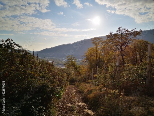 autumn mountain landscape in sochi