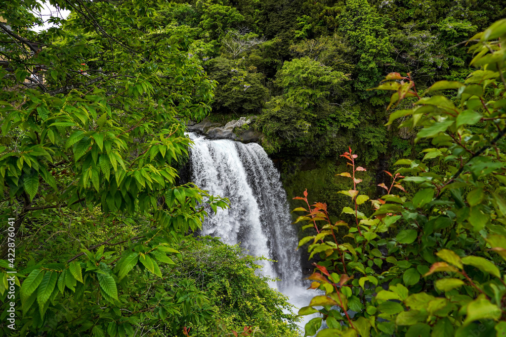 Naklejka premium Close up part of Shiraito Falls in deep mountain cliff, the water fall located in foothills of&nbsp;Mount Fuji. in Japan.