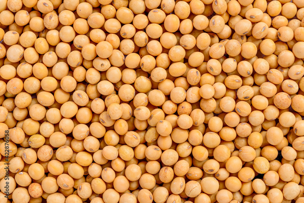 Full frame of soybean. Selective focus. Full frame of soybean. Selective focus.