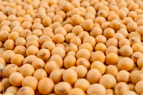 Full frame of soybeans.