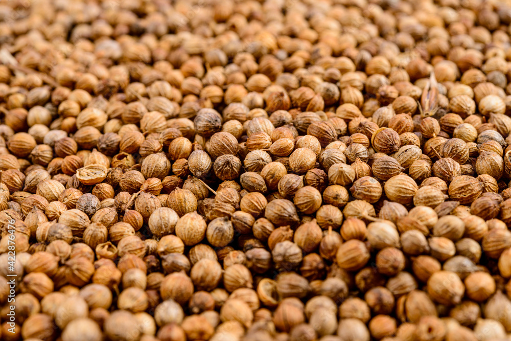 Full frame of coriander seeds. Selective focus. Full frame of coriander seeds. Selective focus.