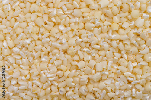 Full frame of crushed white corn kernels.
