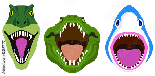 Photography Wild animals with open mouth