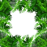 green leaf frame with banana leaves high resolution - vector frame banana leaves - border banana leaves tropical leaves
