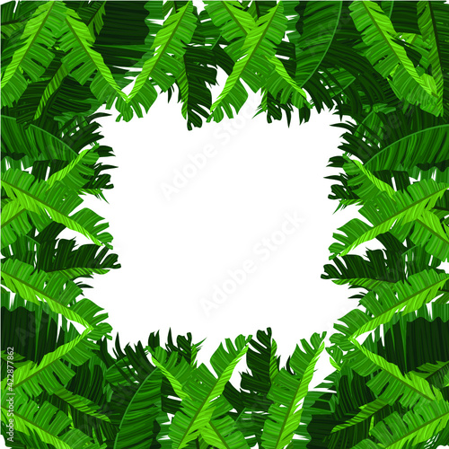 green leaf frame  with banana leaves high resolution