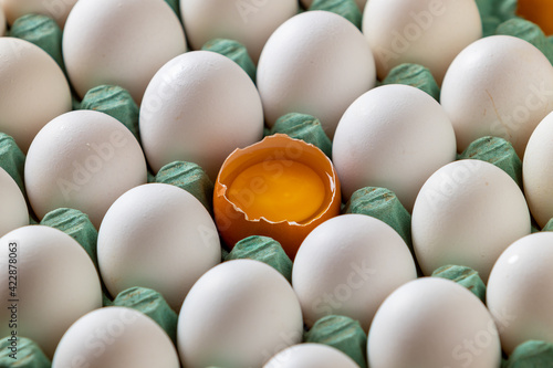 Ovo de galinha caipira com a casca quebrada mostrando clara e a gema, numa bandeja de ovos brancos. photo