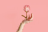 Hand holds a prickly rose with thorns. Creative concept of love, broken heart