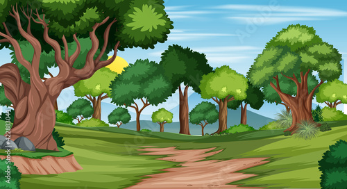 Nature outdoor forest background