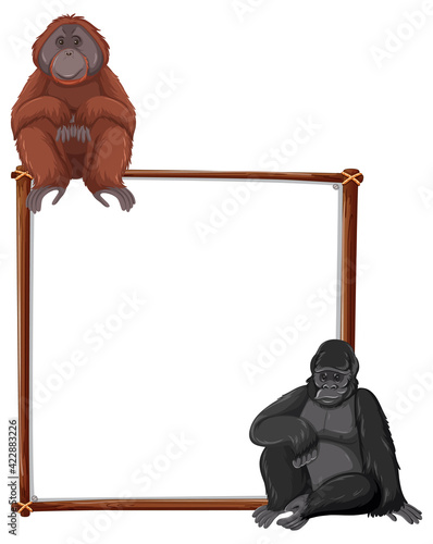 Empty banner with orangutan and gorilla on white background photo