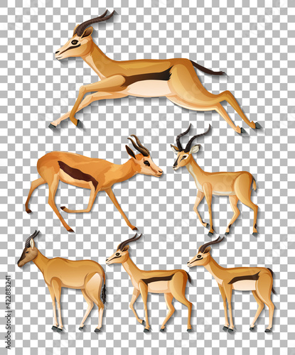 Set of different sides of impala isolated on transparent background