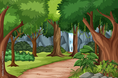 Forest scene with hiking track and many trees