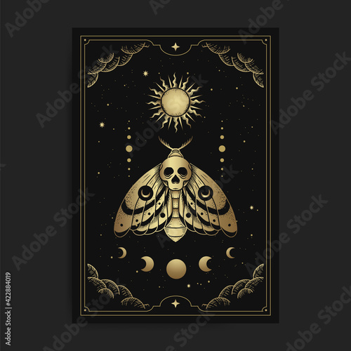 Death moth and ornament of moon and sun phases with engraving, handrawn, luxury, esoteric, boho style, fit for paranormal, tarot reader, astrologer or tattoo