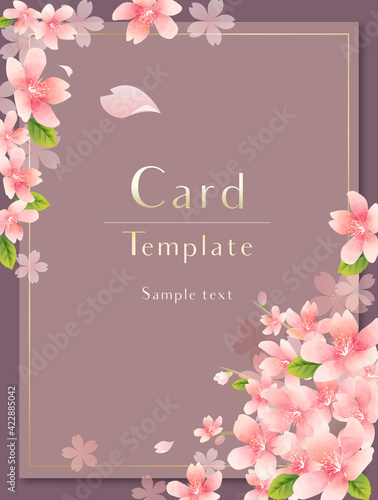 春の花のベクターカード　Elegant Spring Flowers Vector Background