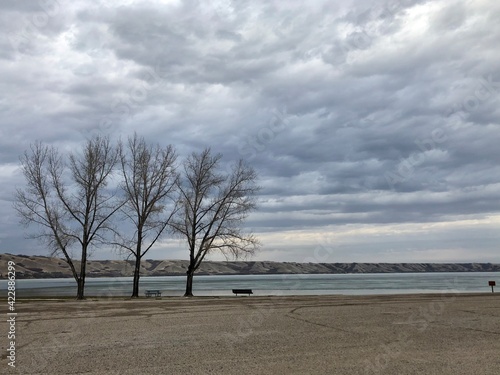 trees on the shore Echo lake. Fort QuAppelle Saskatchewan. 