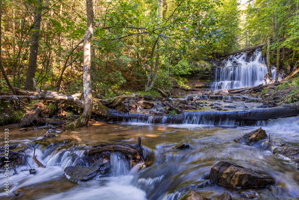 waterfall in the forest waterfall in the forest