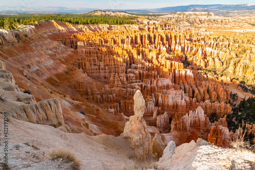 Bryce Canyon National Park amphitheater. Sandstone spires and pine tree forest , sunset