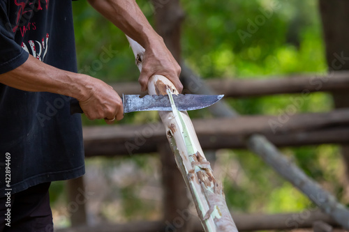 Close-up, a man's hand was using a steel knife sheathed the bark of eucalyptus wood to form the House design using miniature eucalyptus