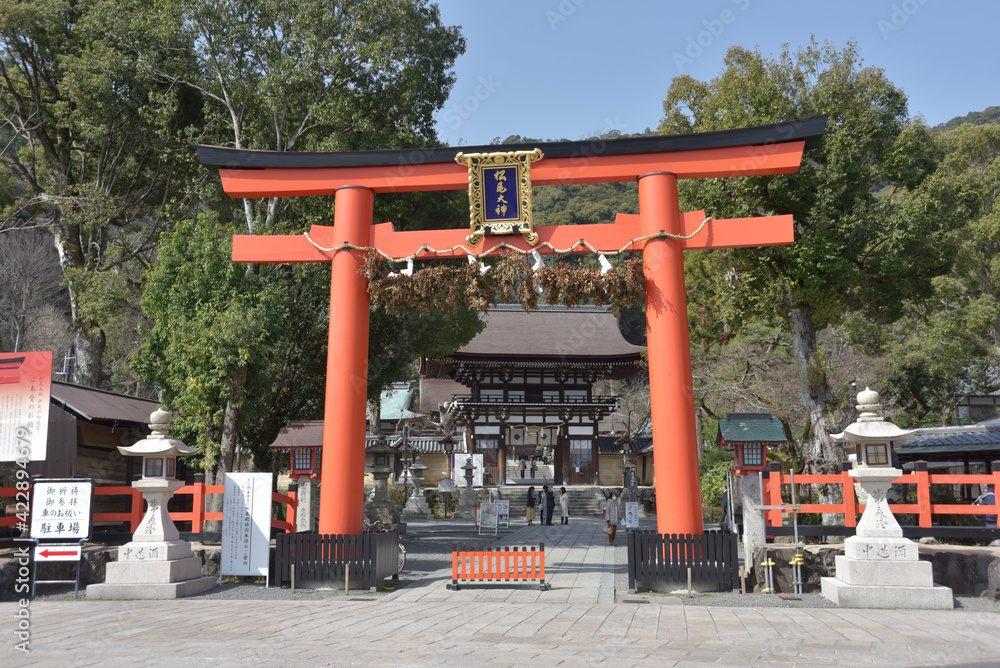 松尾大社　鳥居　京都市