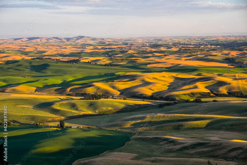 Fototapeta Palouse wheatfields from the summit of Kamiak Butte, near Pullman, Washington, USA