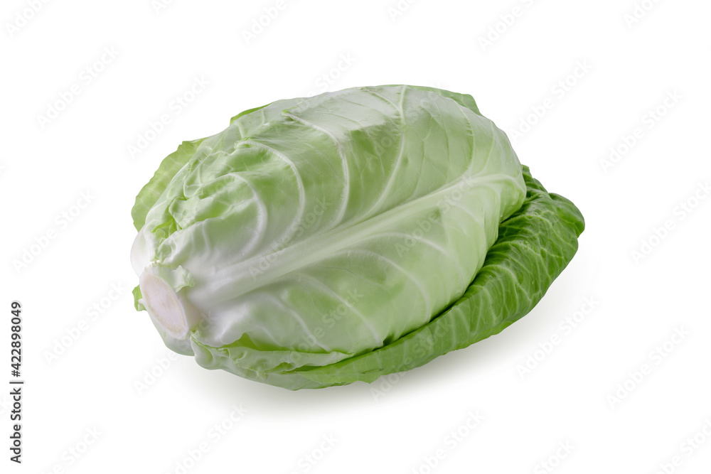 Fototapeta premium Fresh chinese cabbage isolated on a white background.