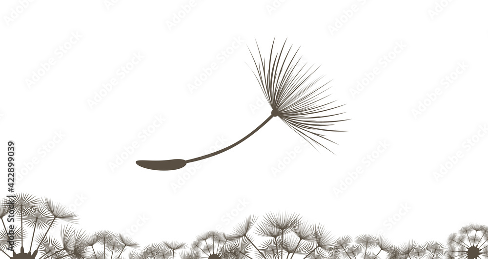 たんぽぽの綿毛 Stock イラスト Adobe Stock