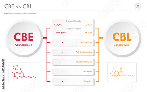 CBE vs CBL, Cannabielsoin vs Cannabicyclol horizontal business infographic illustration about cannabis as herbal alternative medicine and chemical therapy, healthcare and medical vector.