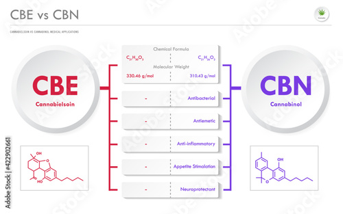 CBE vs CBN, Cannabielsoin vs Cannabinol horizontal business infographic illustration about cannabis as herbal alternative medicine and chemical therapy, healthcare and medical vector.