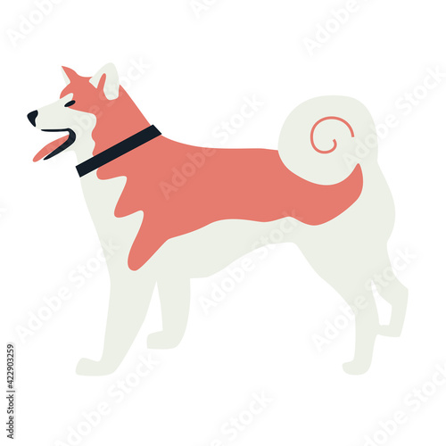 Akita dog Flat vector illustration