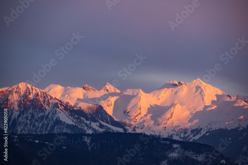 Snow covered swiss mountains in the evening light