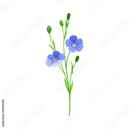 Blue Flax or Linseed Flowers with Five Petals as Cultivated Flowering Plant Specie Vector Illustration