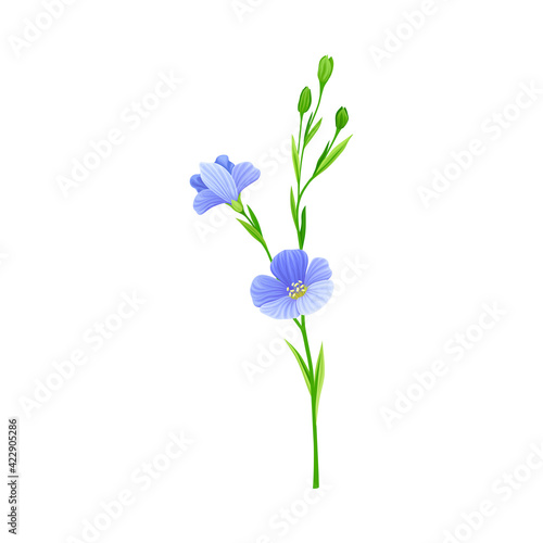 Blue Flax or Linseed Flowers with Five Petals as Cultivated Flowering Plant Specie Vector Illustration