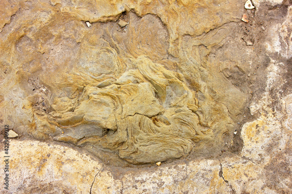 Naklejka premium Beautiful texture of yellow stone.