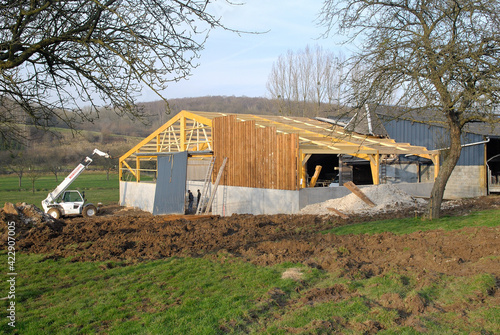 Contruction batiment d'élevage à ossature bois photo