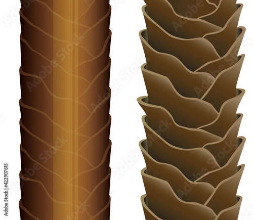 Hair cross section 17_5 No commentary