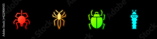 Set Spider, , Mite and Larva insect icon. Vector