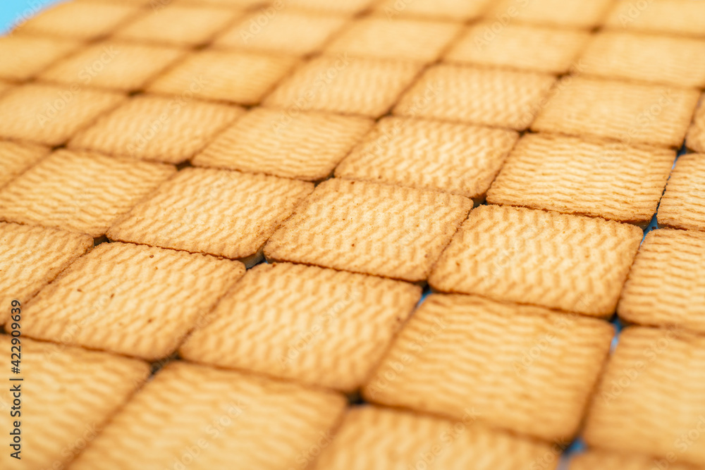 A group of sugar cookies laid in rows. Can be used as a background. A group of sugar cookies laid in rows. Can be used as a background.