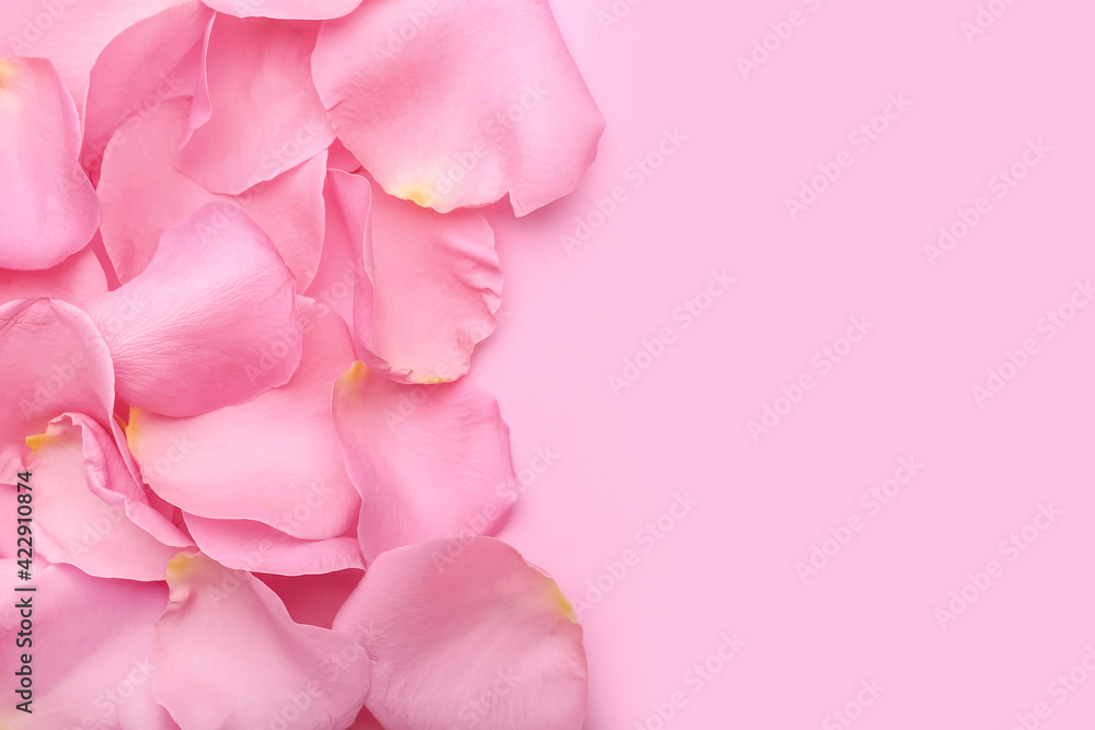 Beautiful pink rose petals on color background