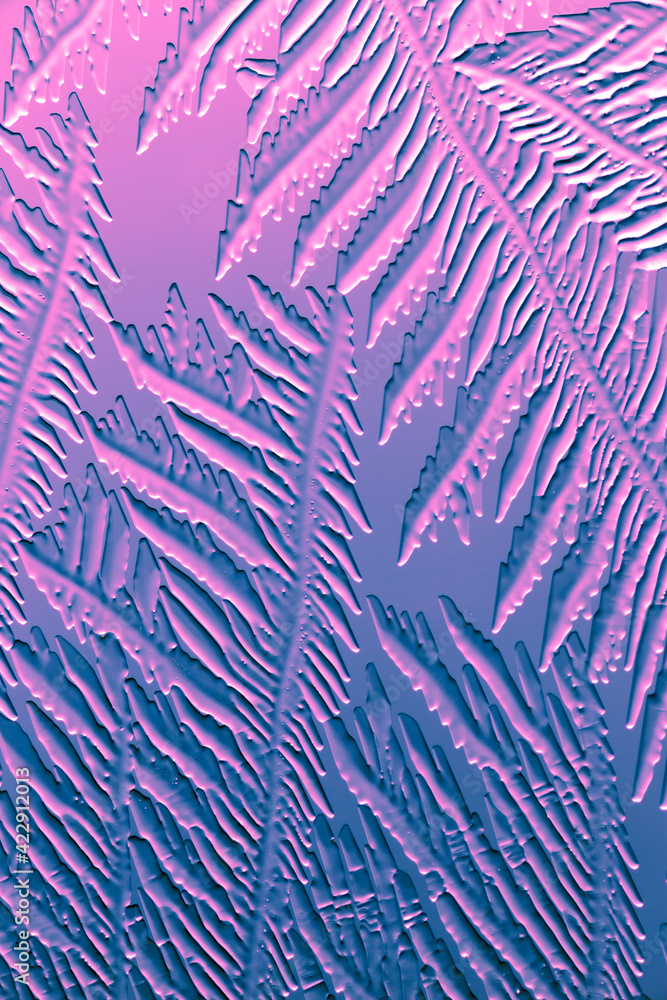 Blue-pink patterns from frost on glass as a background.
