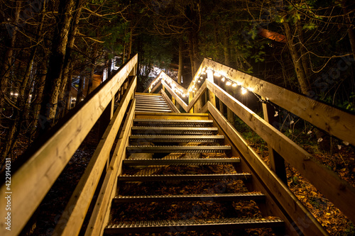 Fototapeta Naklejka Na Ścianę i Meble -  Escalier dans la forêt tard le soir éclairé par une rangée de lumières