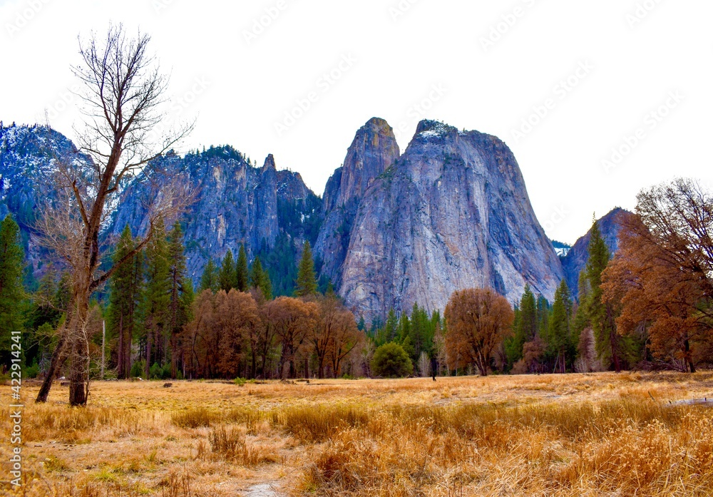 Beautiful tall peaks at Yosemite National Park with trees