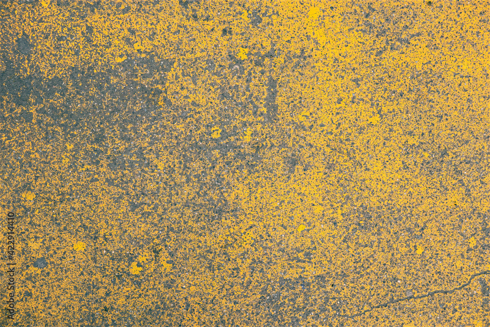 Paint on the Pavement in Yellow Paint on the Pavement in Yellow