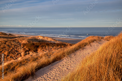 danmark nordjylland løkken strand