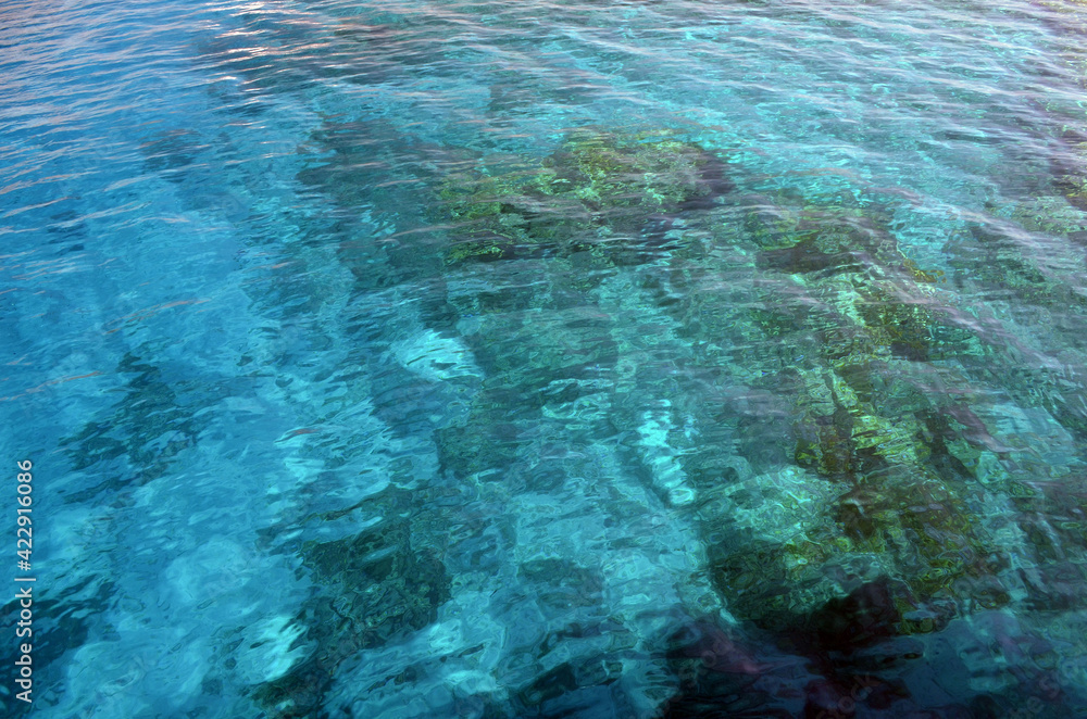 Fototapeta premium Coral reef in shallow water shines through the water of the Red Sea. Ecosystem and environment. Egypt. Near Sharm El Sheikh